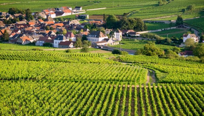 Burgundy-Comte-Rhone-Alpes-768x512