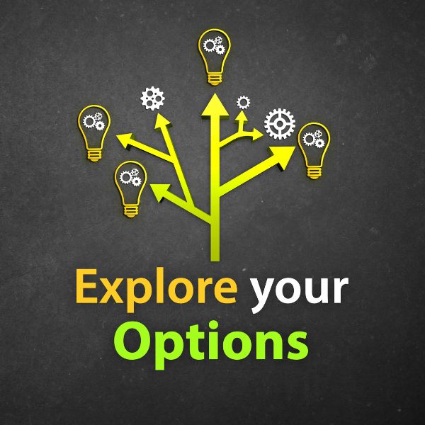 explore your options