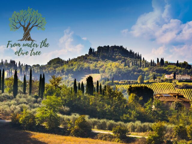 Financial update – Italy July 2025