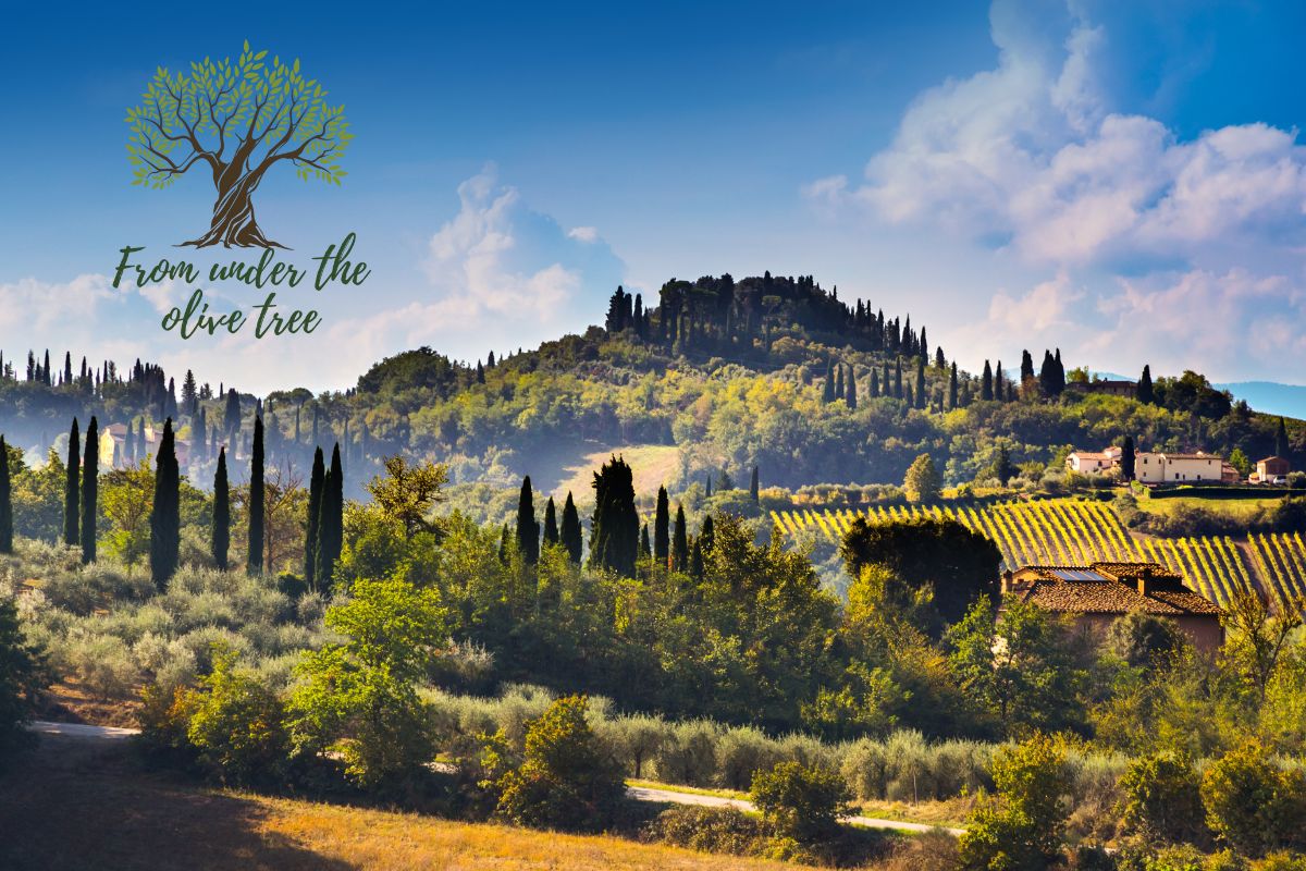 Financial update – Italy July 2025