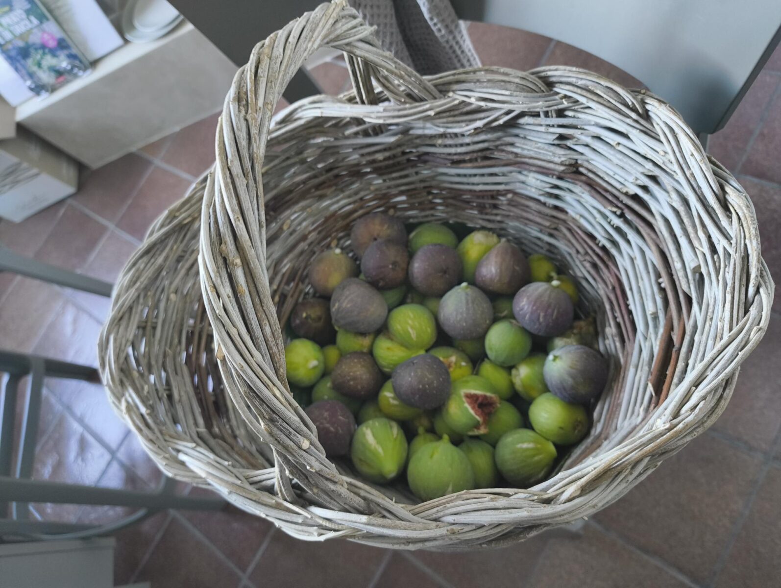 Amelia is famous for its figs