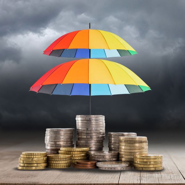 investment protection