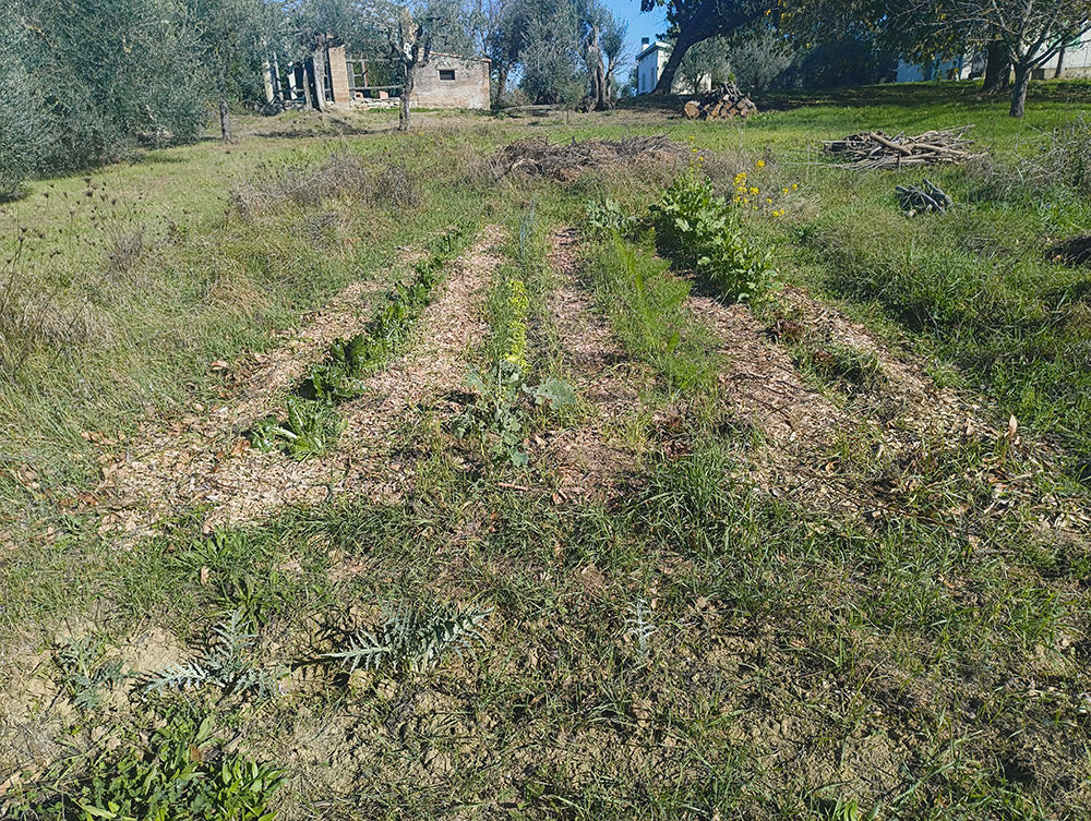 Gareth Horsfall - Spectrum IFA Italy