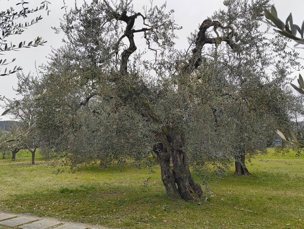 Gareth Horsfall Gareth Horsfall