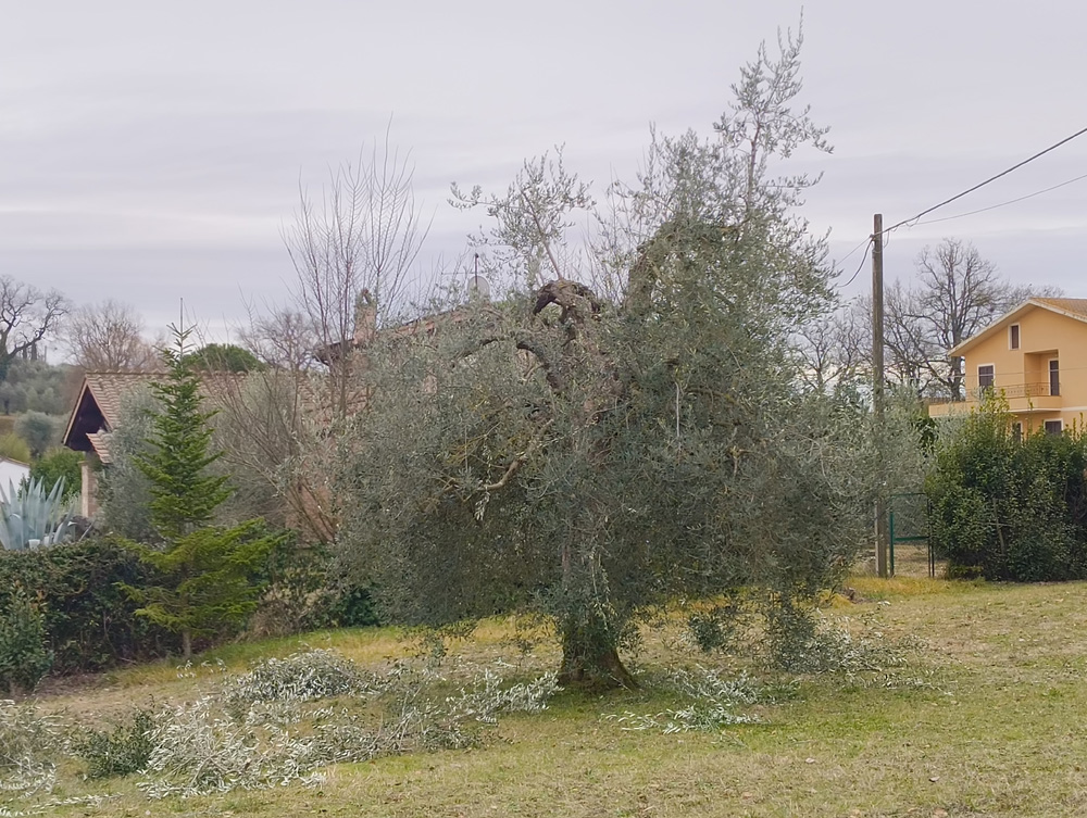 Gareth Horsfall Gareth Horsfall