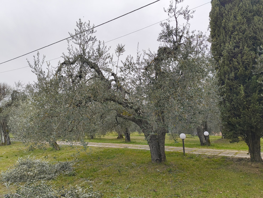 Gareth Horsfall Gareth Horsfall