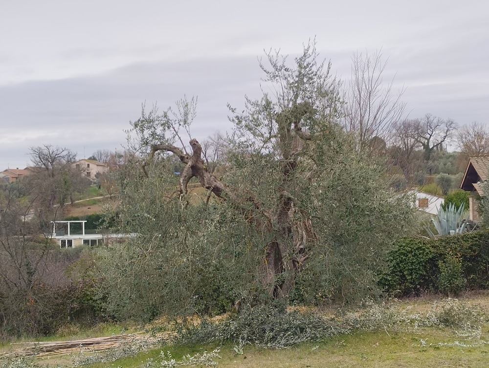 Gareth Horsfall Gareth Horsfall