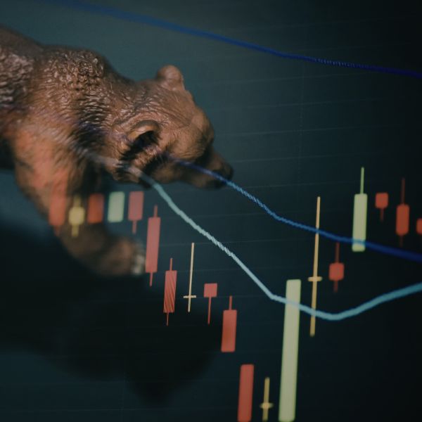 bear market bear market