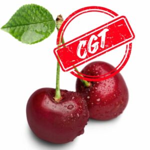 Capital Gains Tax: Two Bites of the Cherry