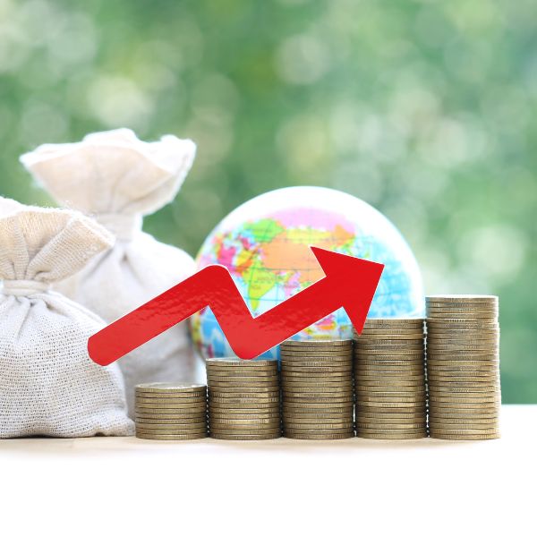 fund growth fund growth